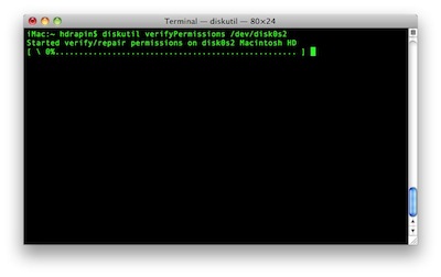 Terminal — diskutil — 80×24.jpg