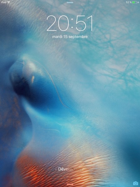 IMG_0023.jpg IMG 0023