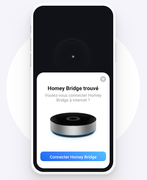 Cette image a un attribut alt vide ; le nom du fichier est homey-bridge-installation.png